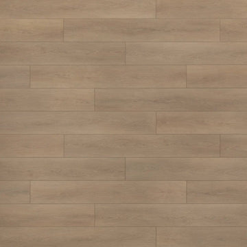 OFL0824